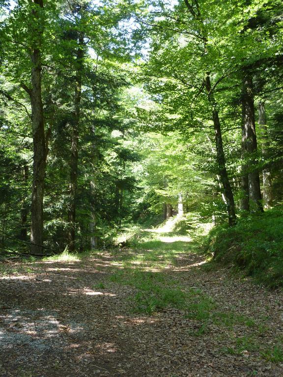 Gasthaus Zum Schwanen Ühlingen-Birkendorf Exteriör bild